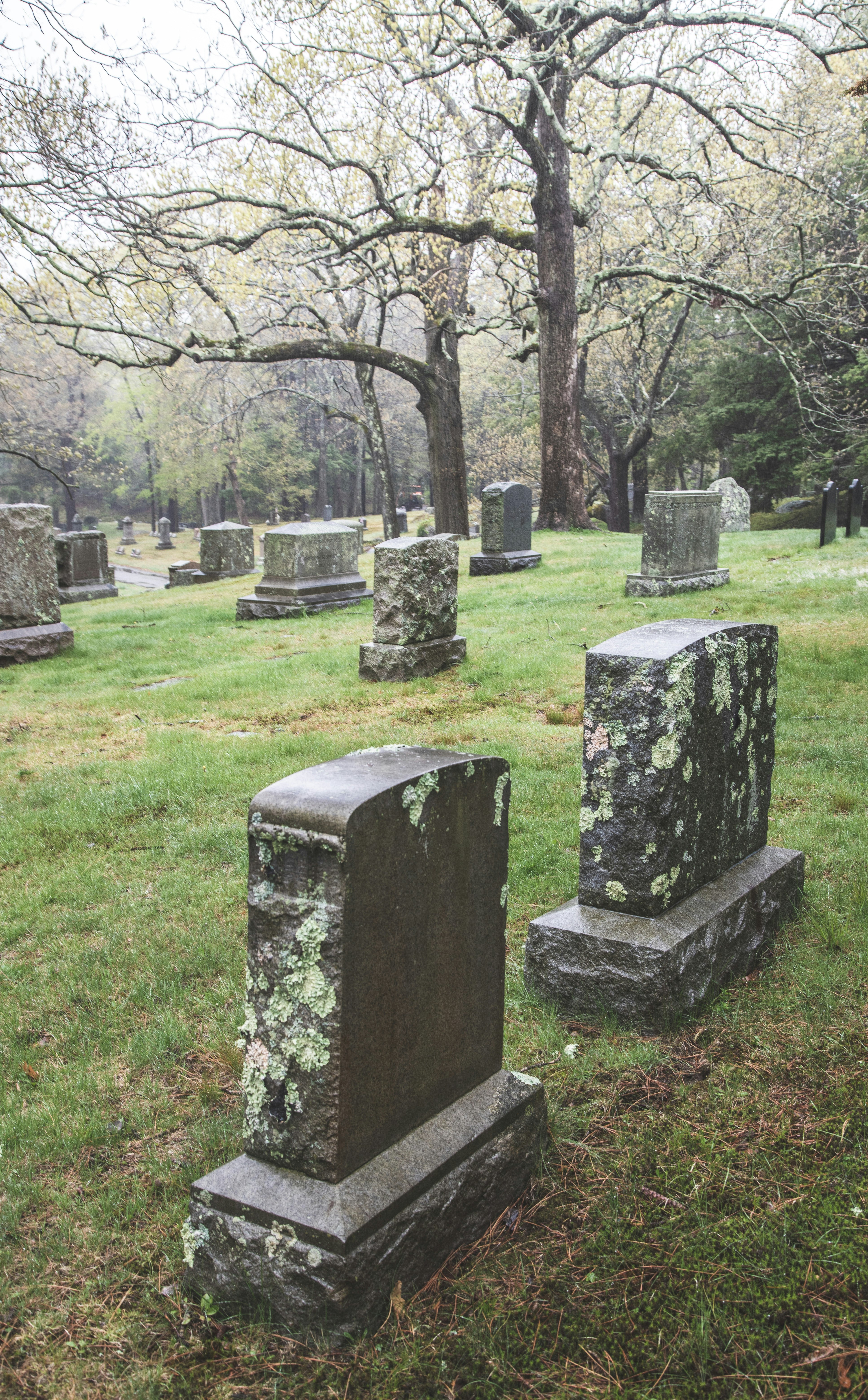 gray concrete tomb on green grass field